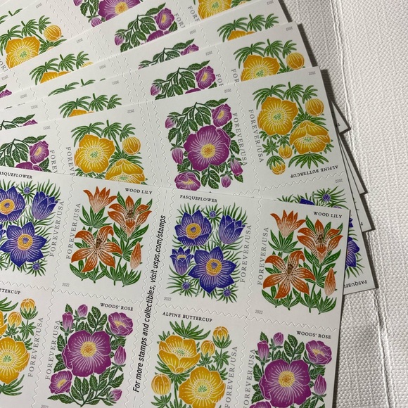 Floral Design Stickers Set - Picture 3 of 4